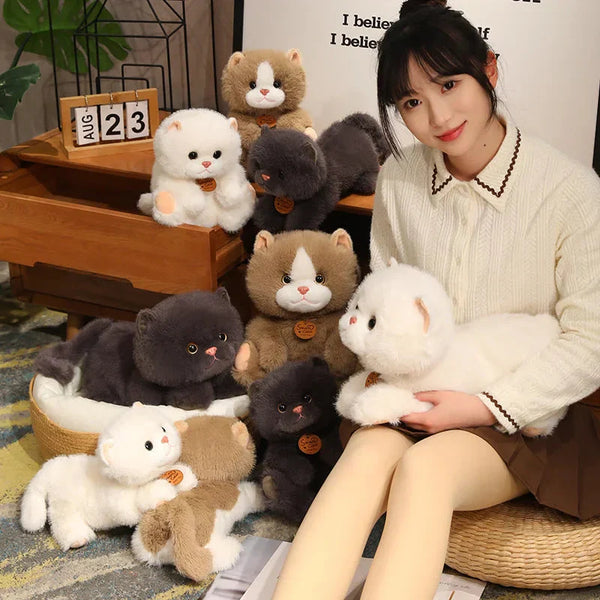 Fluffy Kitten Squad Laying Plushies