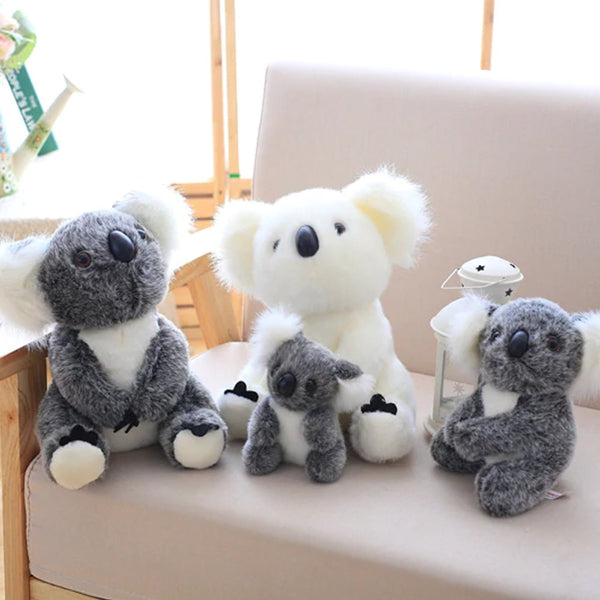 Koala Bear Family