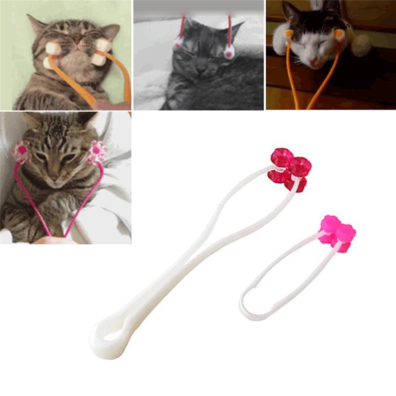 Cat Massage and Grooming Tool