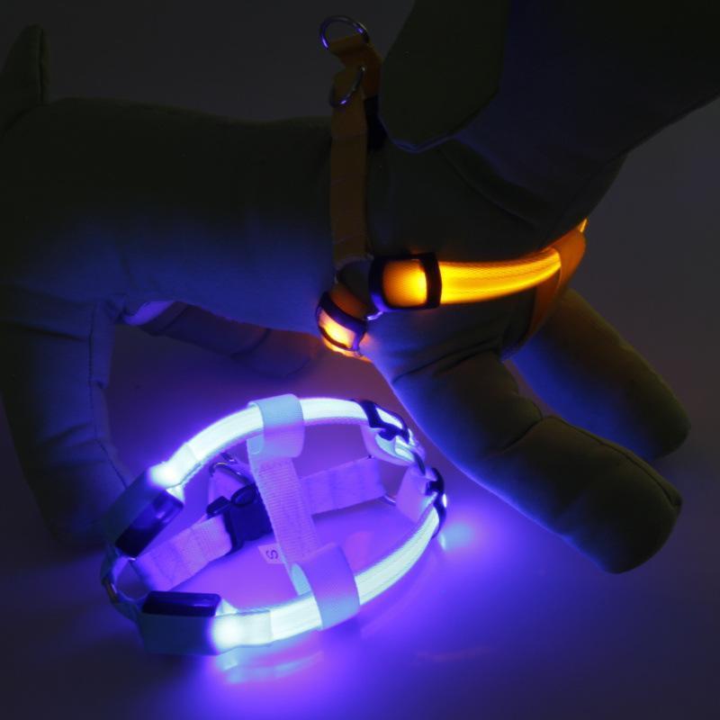 LED Dog Harness
