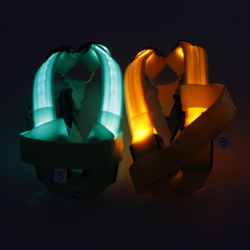 LED Dog Harness