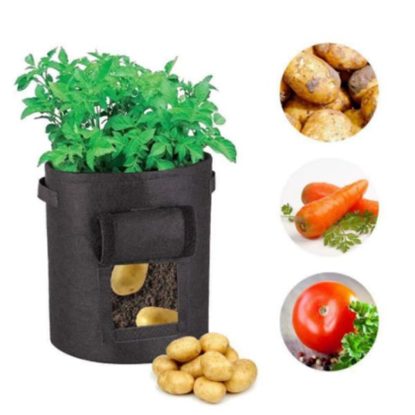 Potato Plant Bag