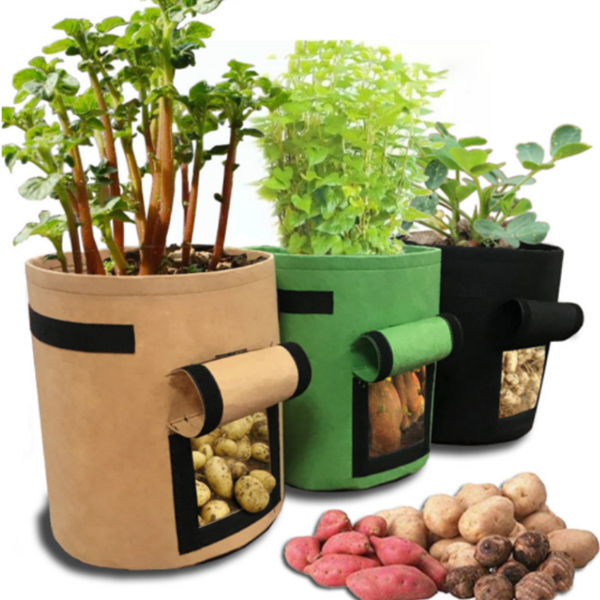 Potato Plant Bag