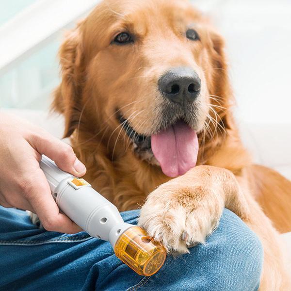Premium Painless Nail Trimmer For Pets - All Size Dogs & Cats