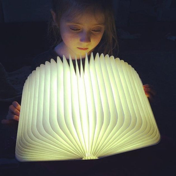 Wood Book LED Lamp