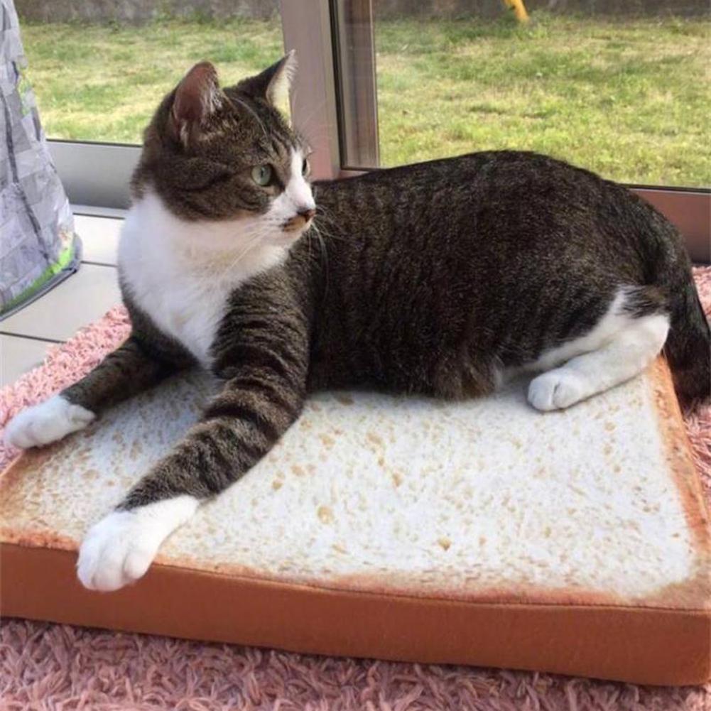Cat Toast Bed