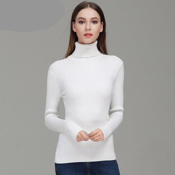 Turtleneck Knitted Skinny Sweater