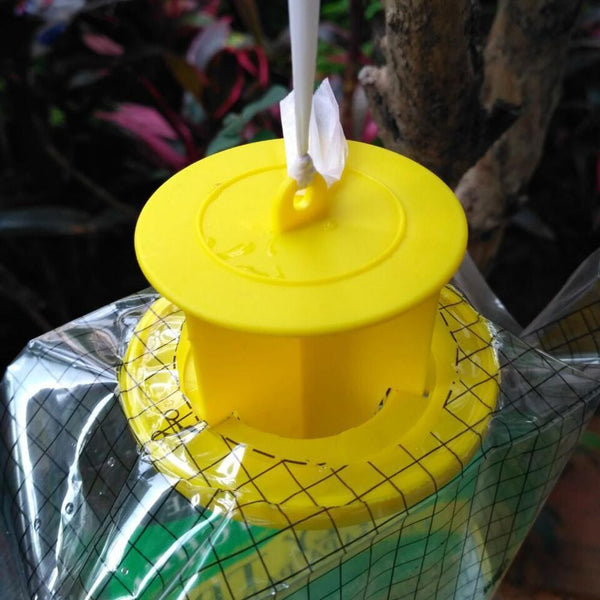 Disposable Fly Trap