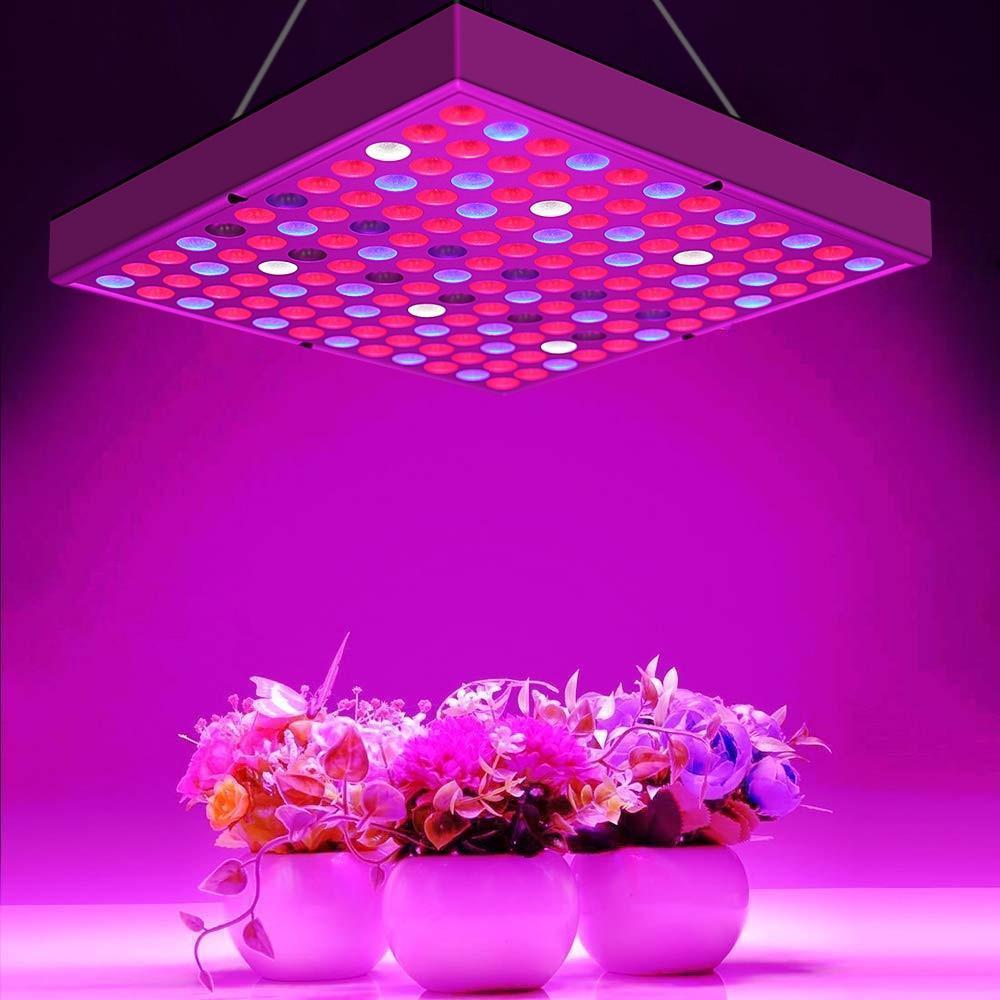 Plant Growth Full Spectrum LED Indoor Plant Lights