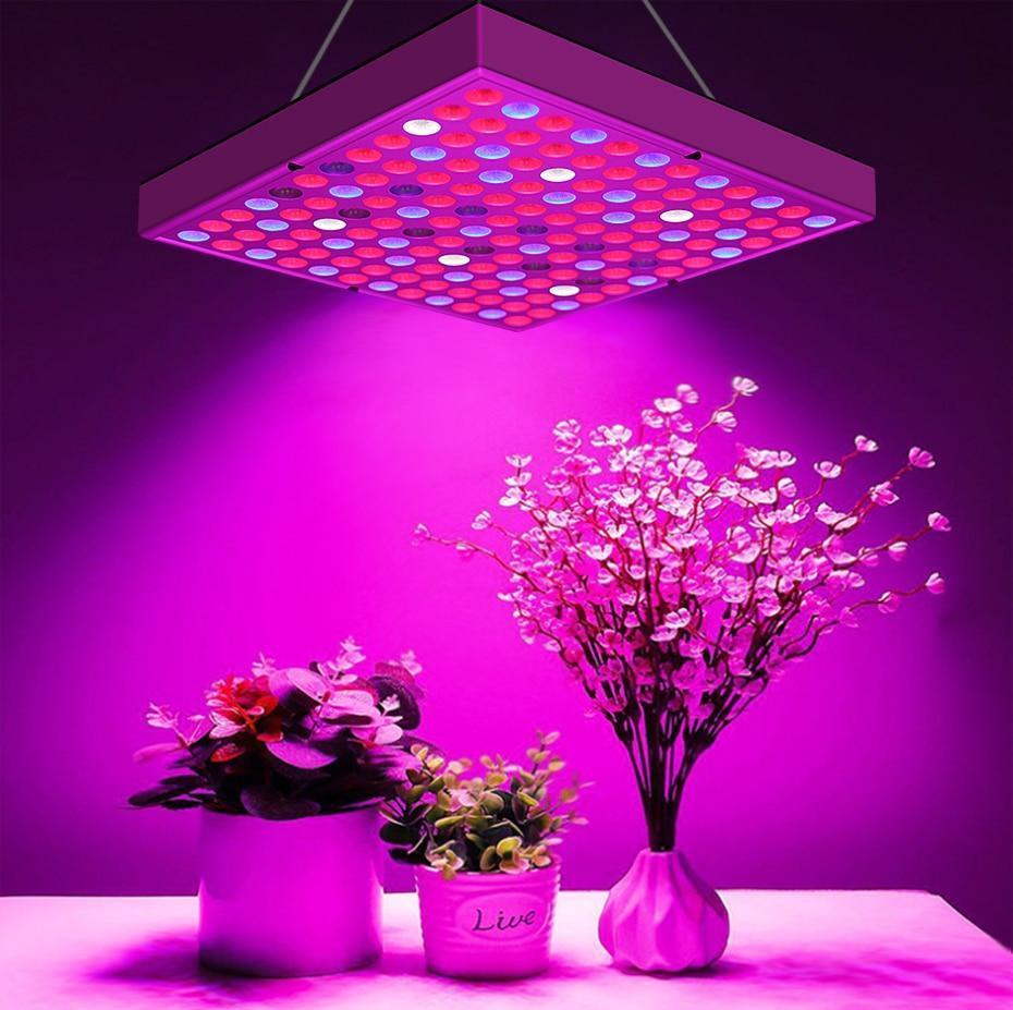 Plant Growth Full Spectrum LED Indoor Plant Lights