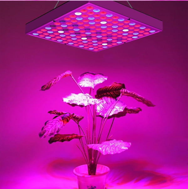 Plant Growth Full Spectrum LED Indoor Plant Lights