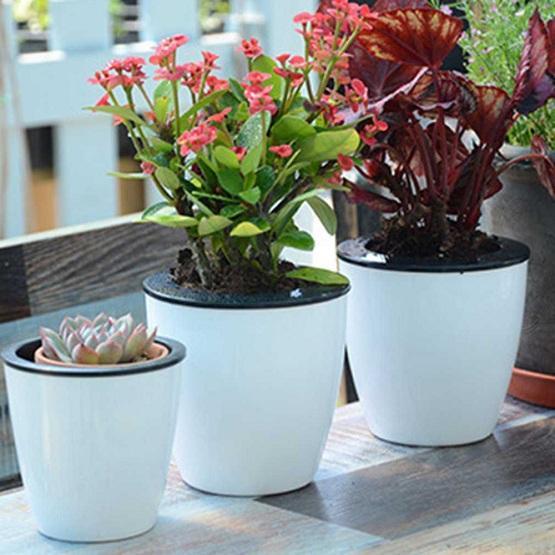 Self Watering Flower Pot